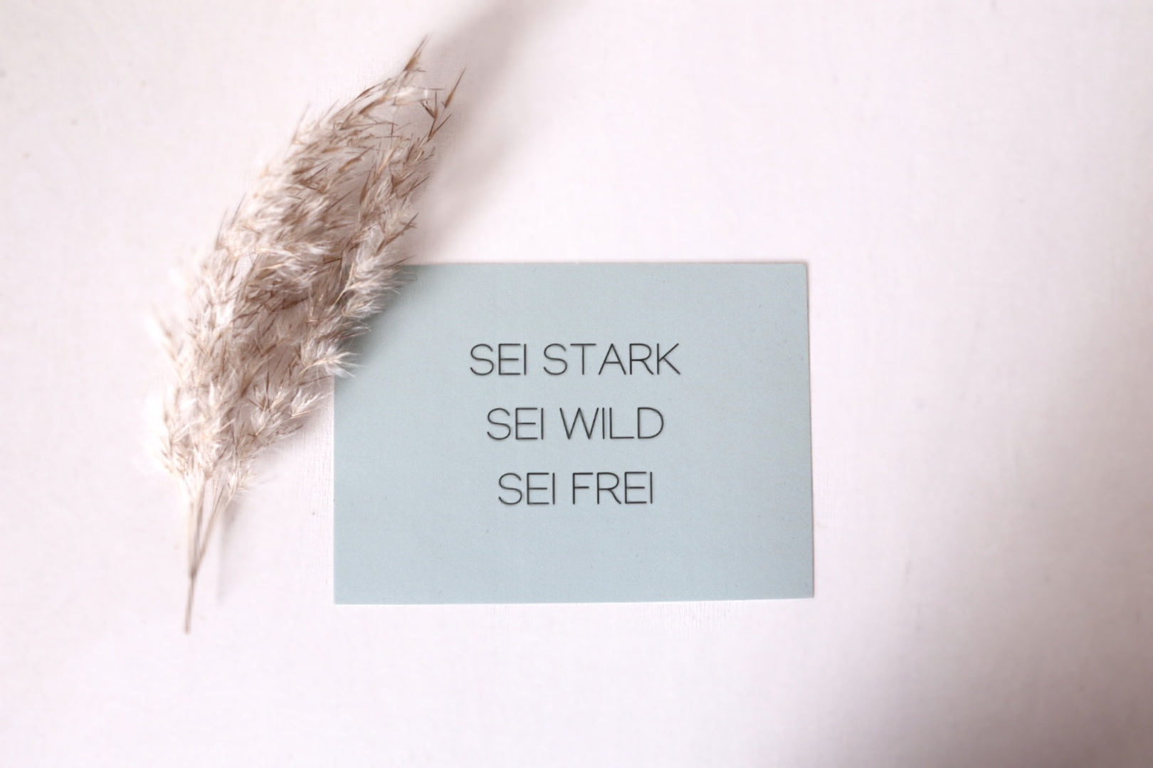 Postkarte “stark, wild, frei“